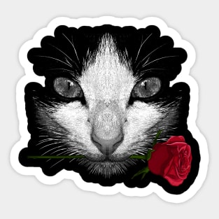 Black Cat Sticker